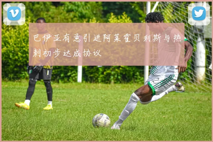 巴伊亚有意引进阿莱霍贝利斯与热刺初步达成协议