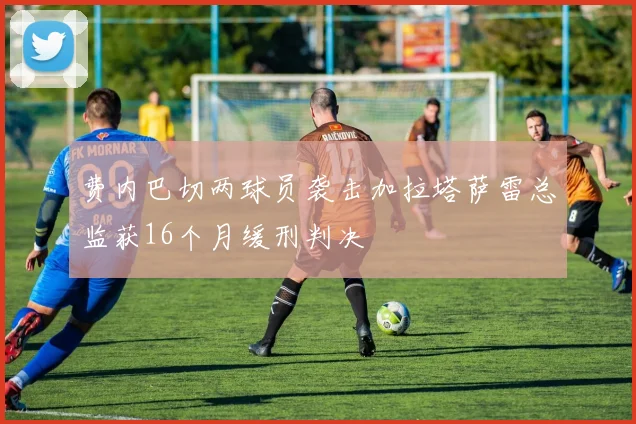 费内巴切两球员袭击加拉塔萨雷总监获16个月缓刑判决